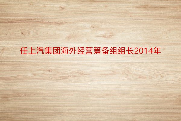 任上汽集团海外经营筹备组组长2014年